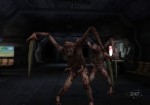 slasher_glamor_shot slasher_glamor_shot