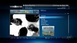 search-kingsofleon