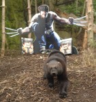 wolverine-3