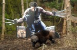 wolverine-4