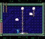 sheep_001_bmp_jpgcopy