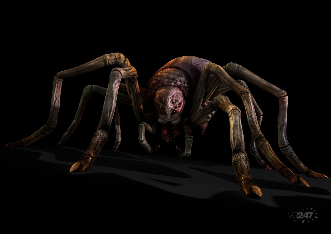 Spider_sm