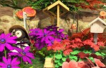 brook_garden_2 brook_garden_2
