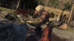 AsurasWrath_(4)_bmp_jpgcopy