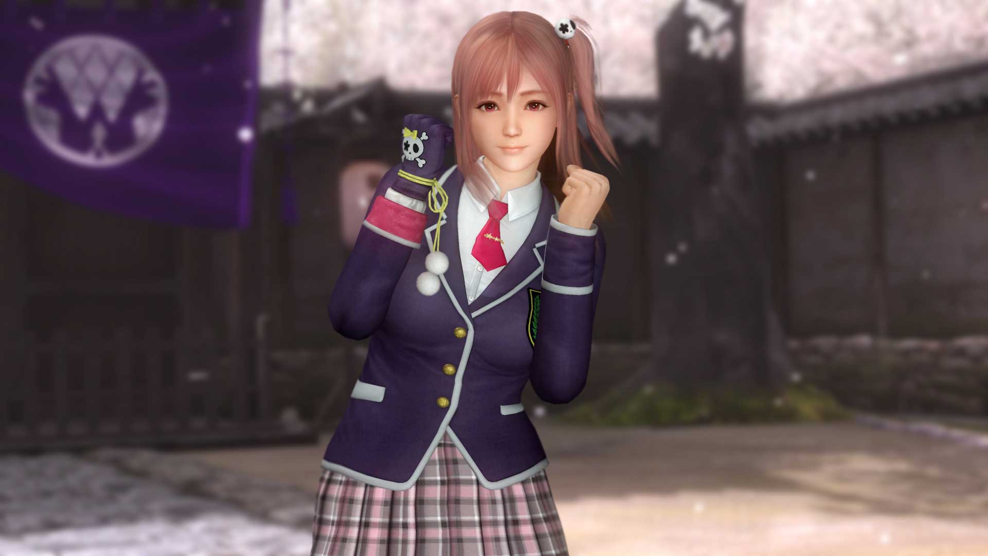 Dead Or Alive 5: Last Round Free Download Current Version