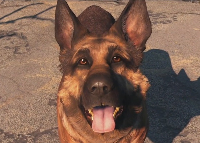 Fallout 4: how to recruit companions and where to find them