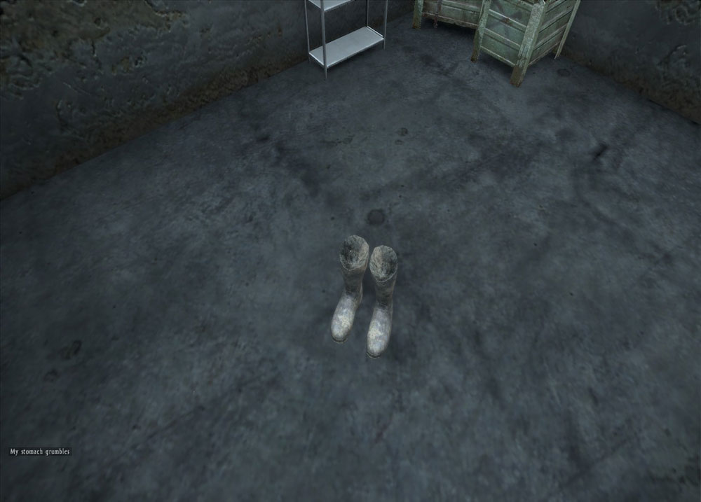 DayZ guide the inventory VG247
