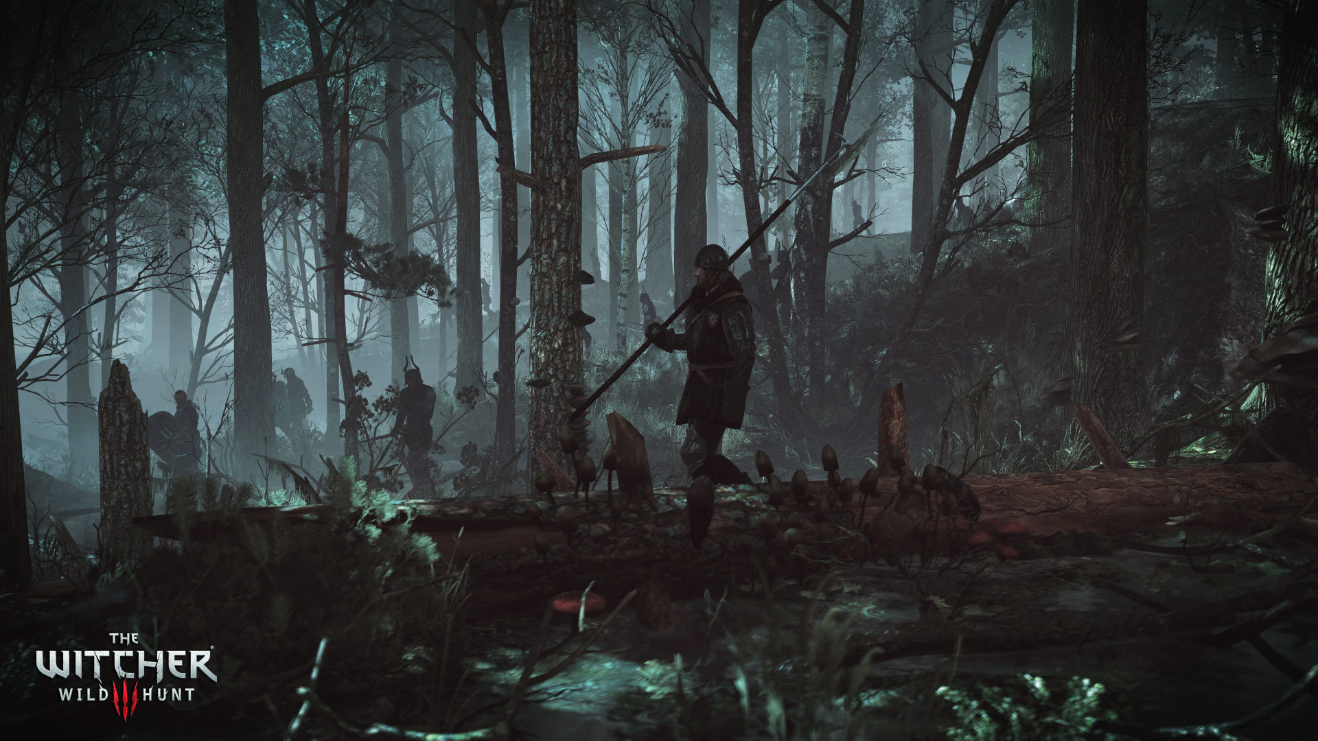 Witcher 3 release date