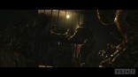 RE6_Captivate_0021_bmp_jpgcopy