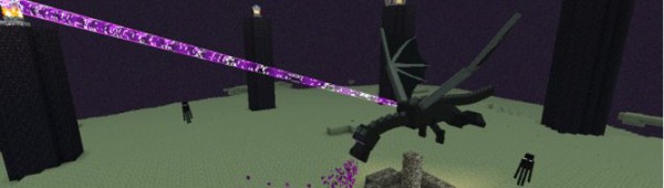 Minecraft Enderdragon Banner 600x170 Jpg