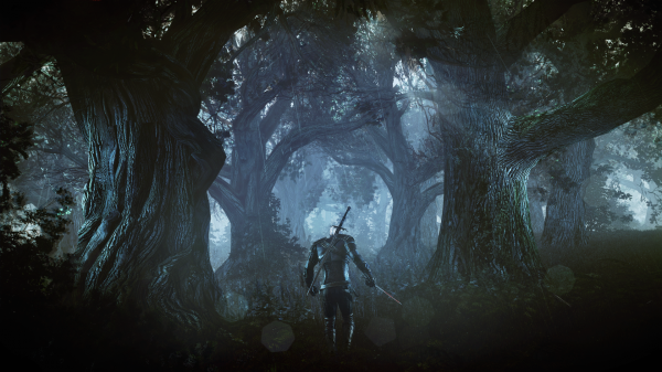 The_Witcher_3_Wild_Hunt_Geralt_alone_in_a_deep_and_dark_forest