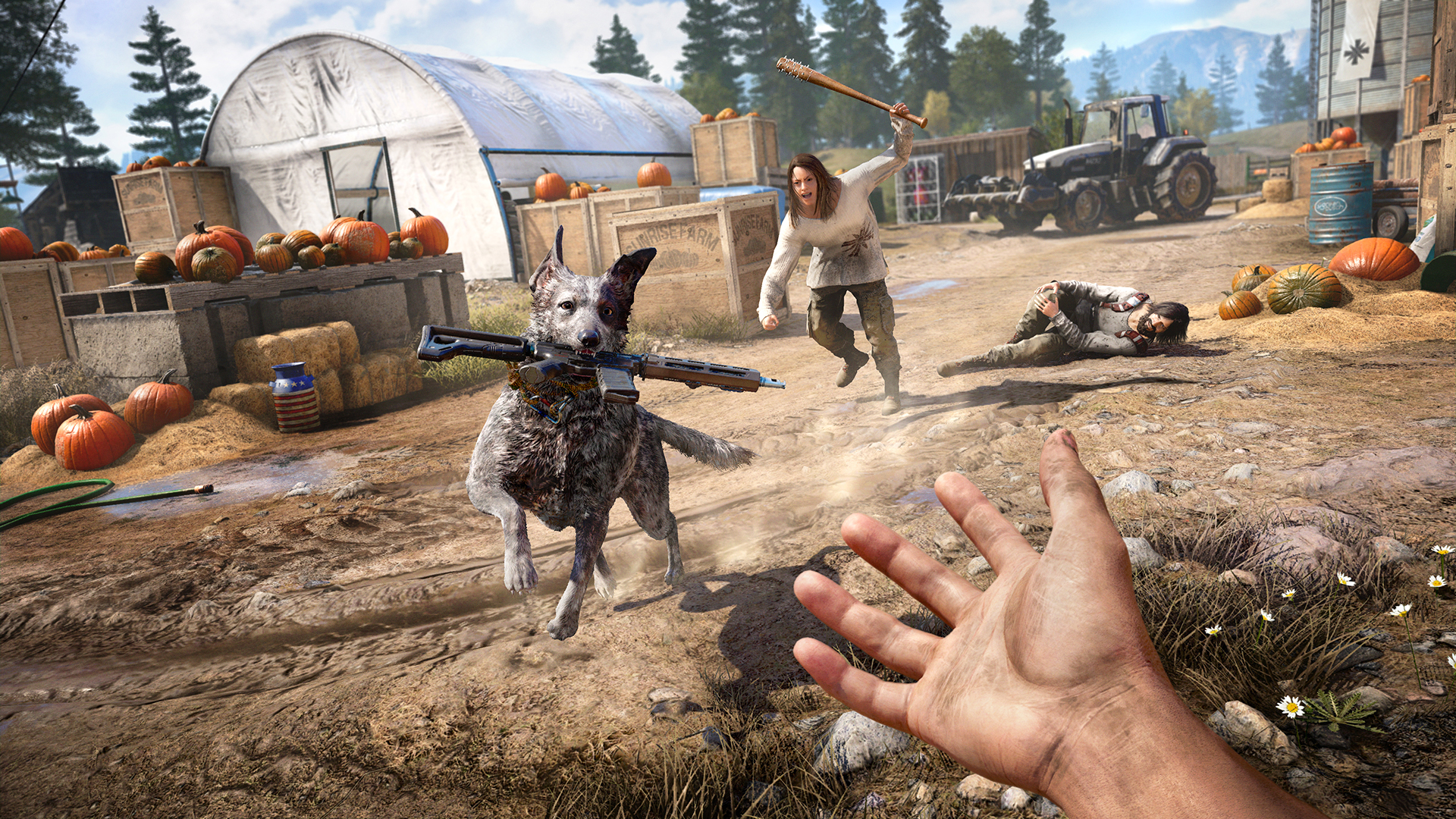 The Dog In Far Cry 5 Cannot Die But It Can Get Hurt So Please