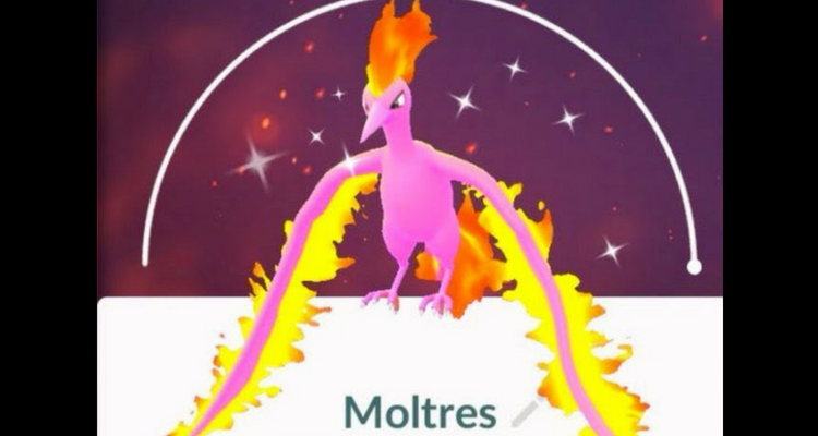 A Found Shiny Moltres in pokemon go 