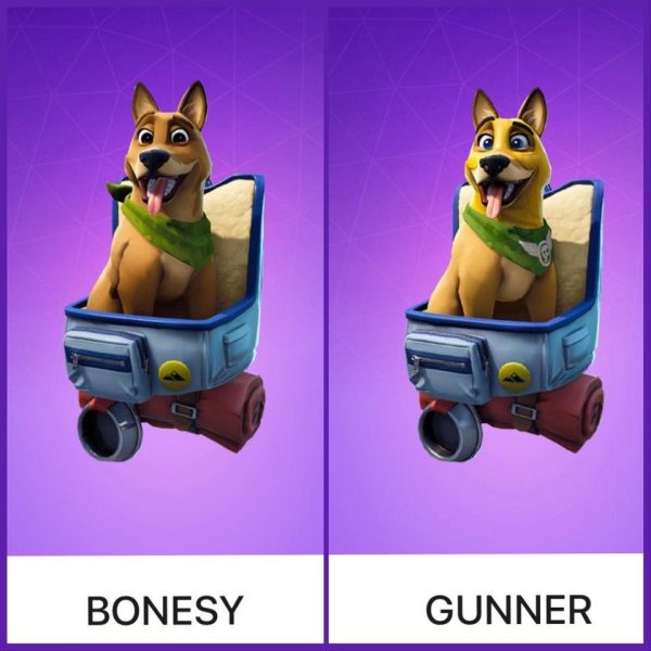 Fortnite puppy controversy