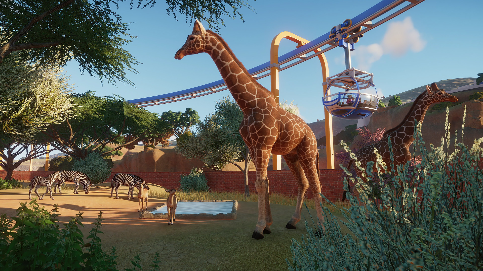 Planet Zoo How To Visit Others Zoos And Earn Conservation Credits Vg247