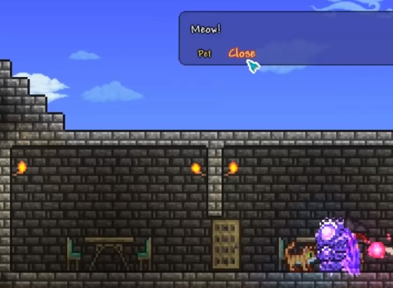 Terraria How To Get A Cat License Vg247