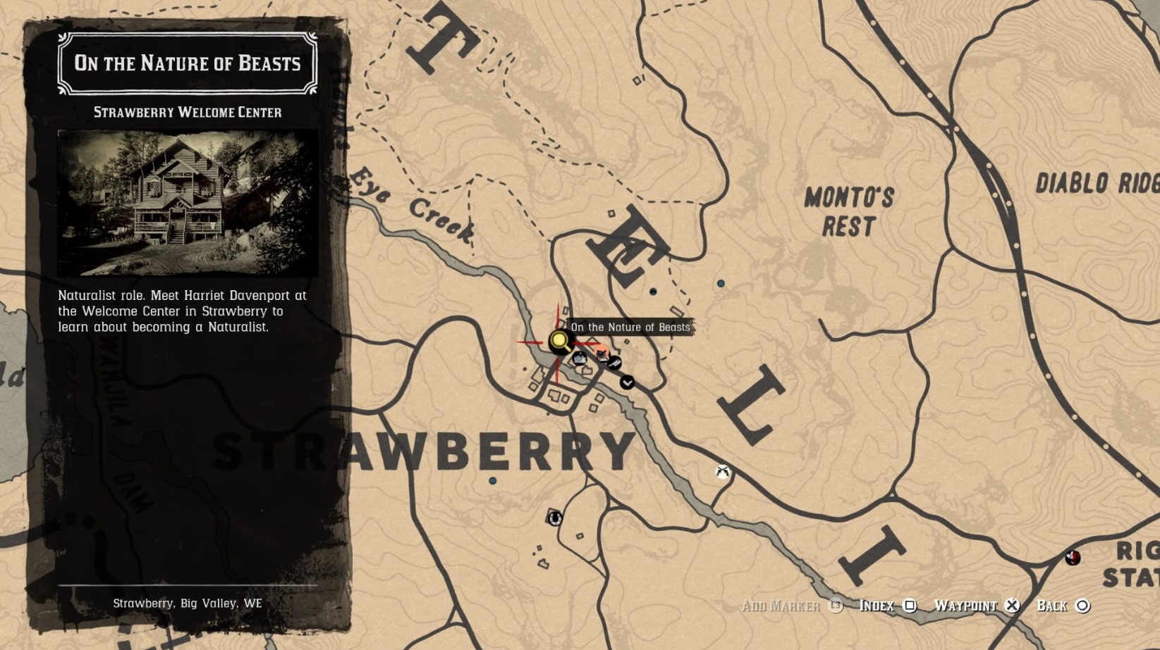 Red Dead Online Naturalist Guide  All Legendary Animal Locations and Rewards   Ghost Panther and Nightwalker Panther - 12