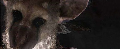 thelastguardian thelastguardian