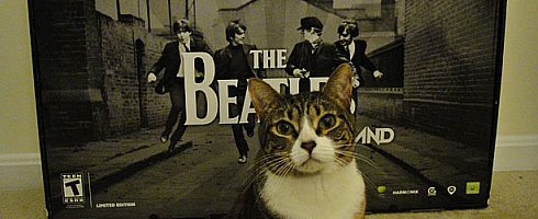 beatlesbundlecat beatlesbundlecat