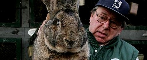 bigfuckingrabbit bigfuckingrabbit