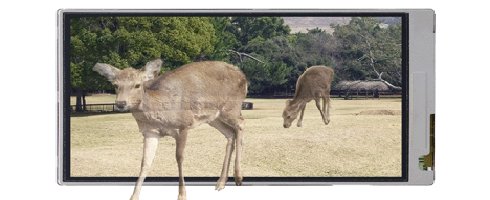 2deersonescreen 2deersonescreen