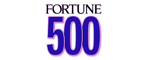 fortune 500 fortune 500