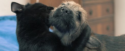 hug it out hug it out