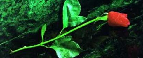 vampirethemasqu vampirethemasqu