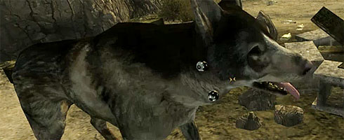Fallout: New Vegas bugs swamp YouTube | VG247