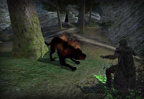 shadow wolves are not nice shadow wolves are not nice