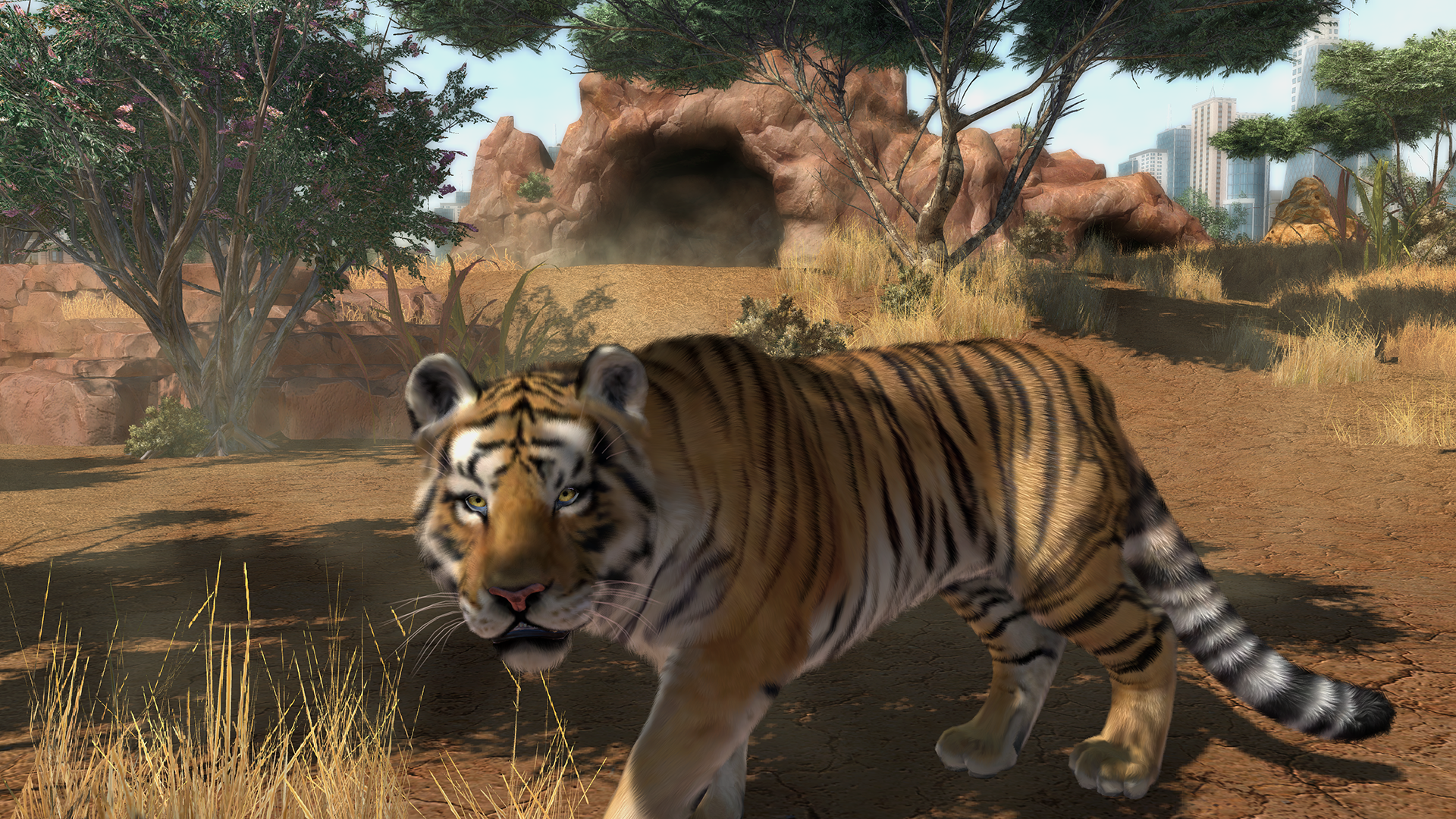 Zoo Tycoon players meet first Community Challenge supporting Sumatran