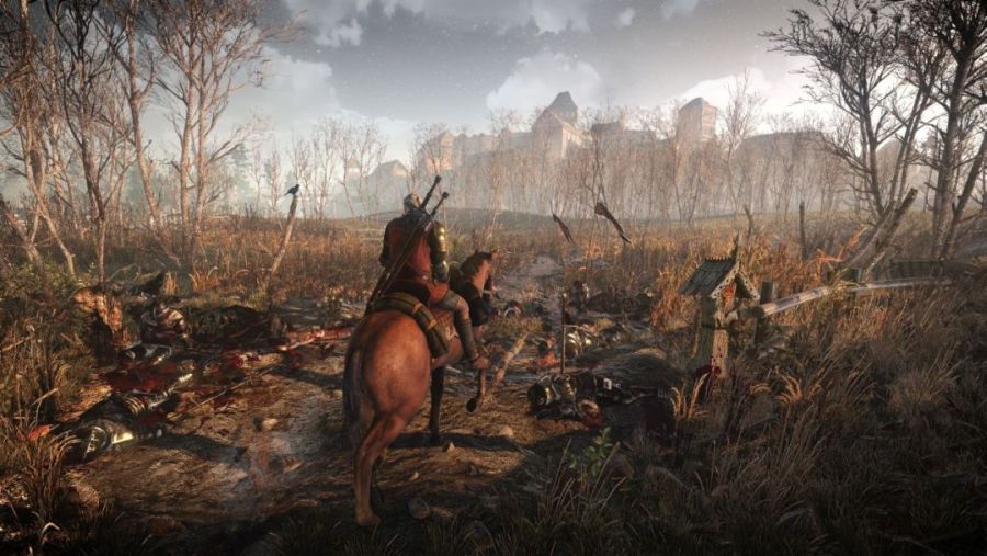 The Witcher 3 - new screens 012814 (3)
