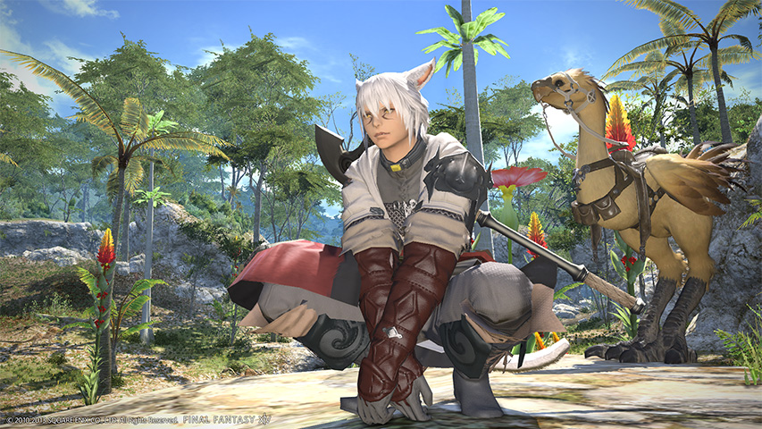 Final Fantasy 14 on PS4 is another string in Sony's MMO bow - VG247