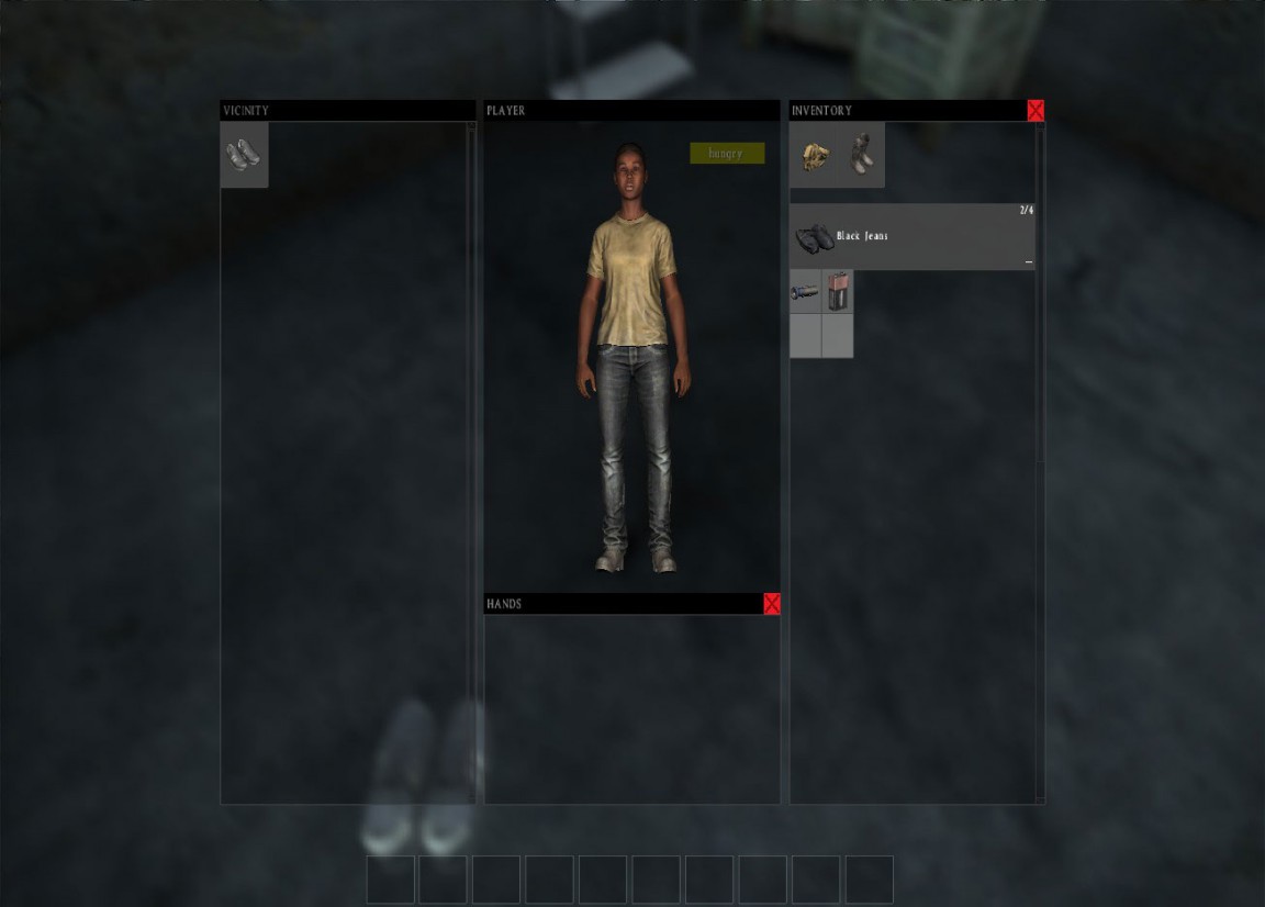 DayZ guide the inventory VG247