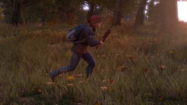 dayz standalone sucks dayz standalone sucks