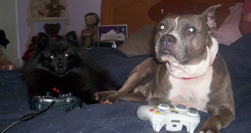 dogs-video-games-jpg