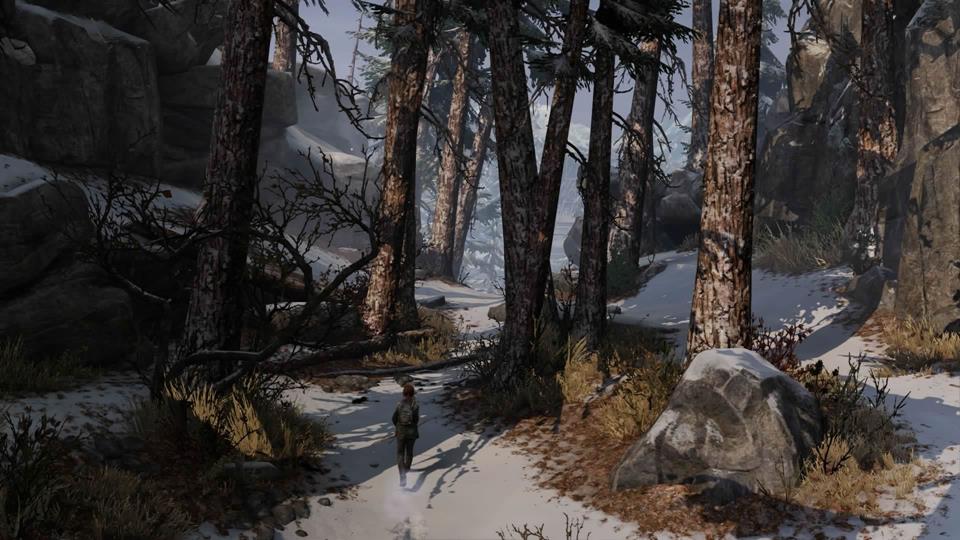 Ellie in winter landscape_1406290300 (Copy)