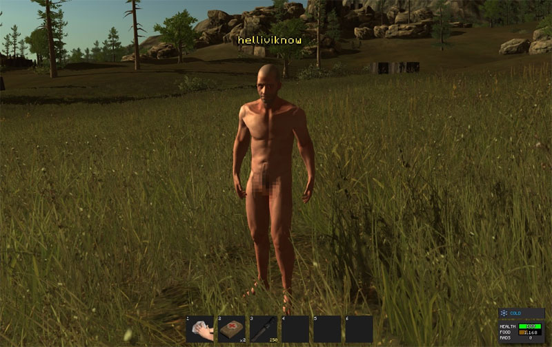 Rust, the survival MMO from the developers of Garry's Mod, has decided...