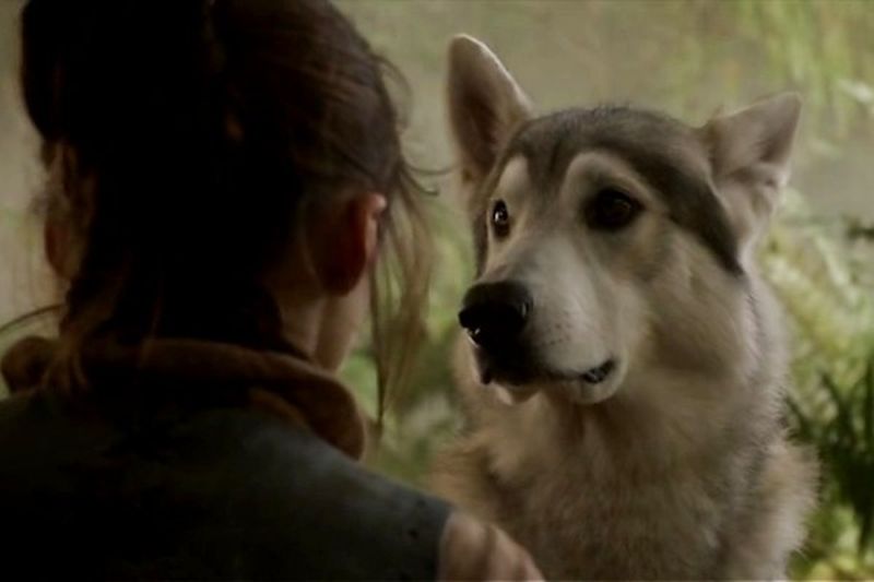arya_and_nymeria
