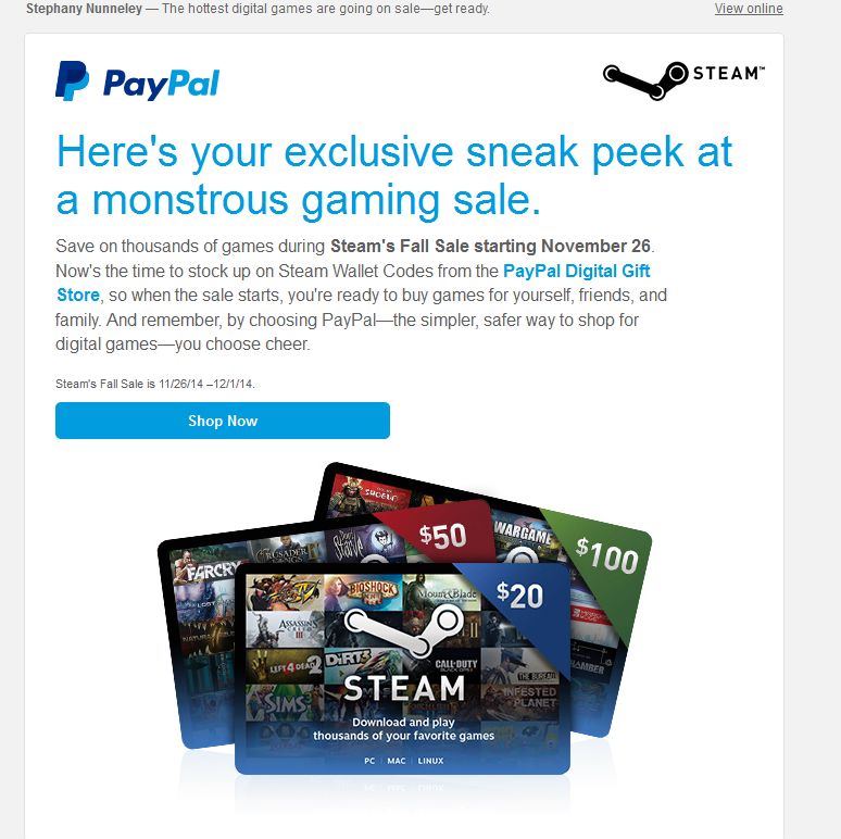 steamfallsalepaypal