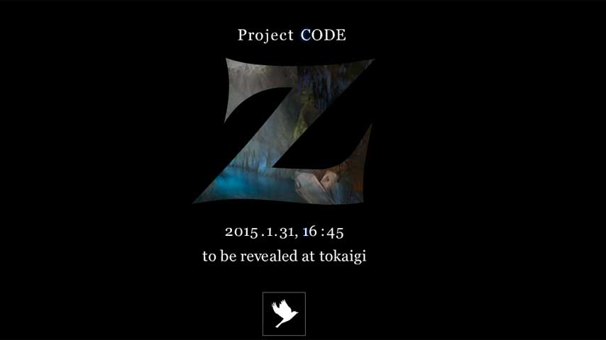 project_code_z