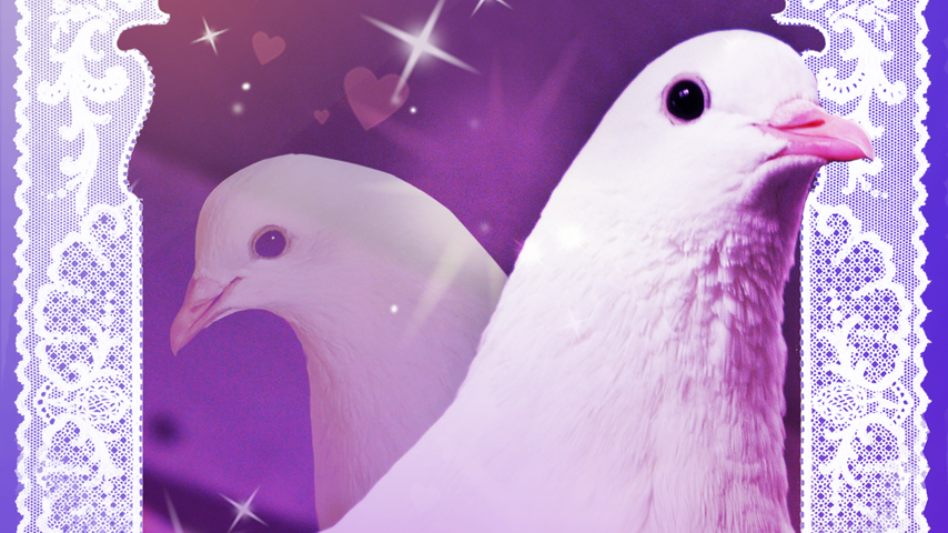 humble_weekly_bundle_for_lovers