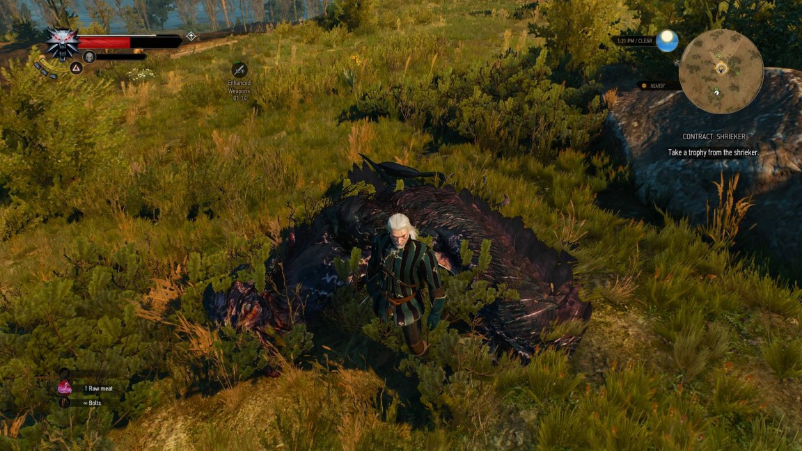 witcher_3_cockatrice_dead