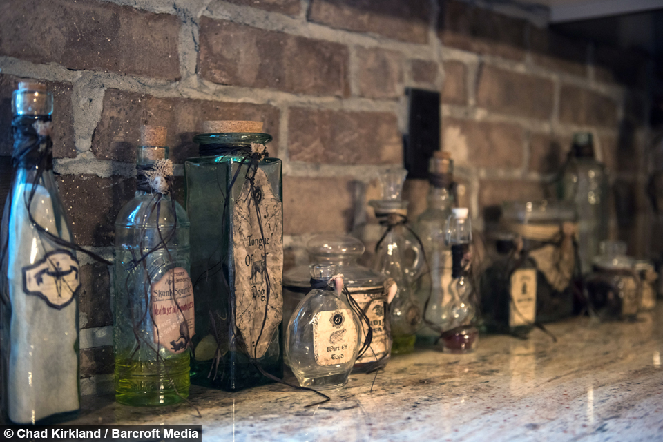 elder_scrolls_mega_fan_basement_9