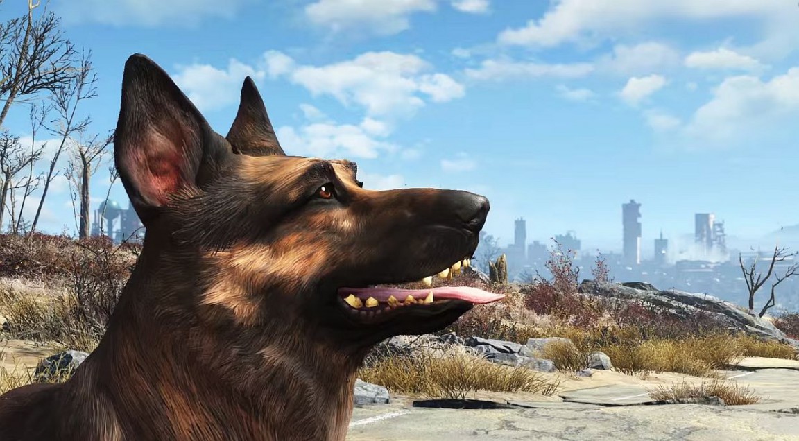 Dogmeat Dogmeat