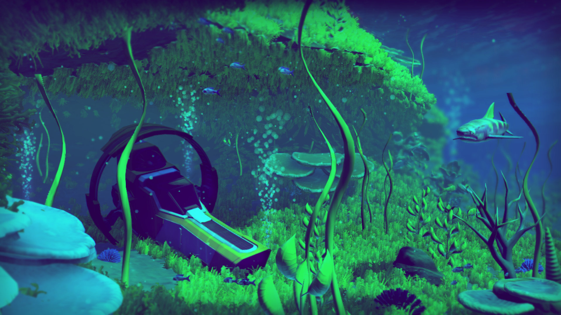 Личинки астероида no mans sky что делать