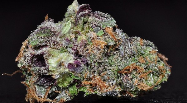 lovely_bud_with_folgers_crystals