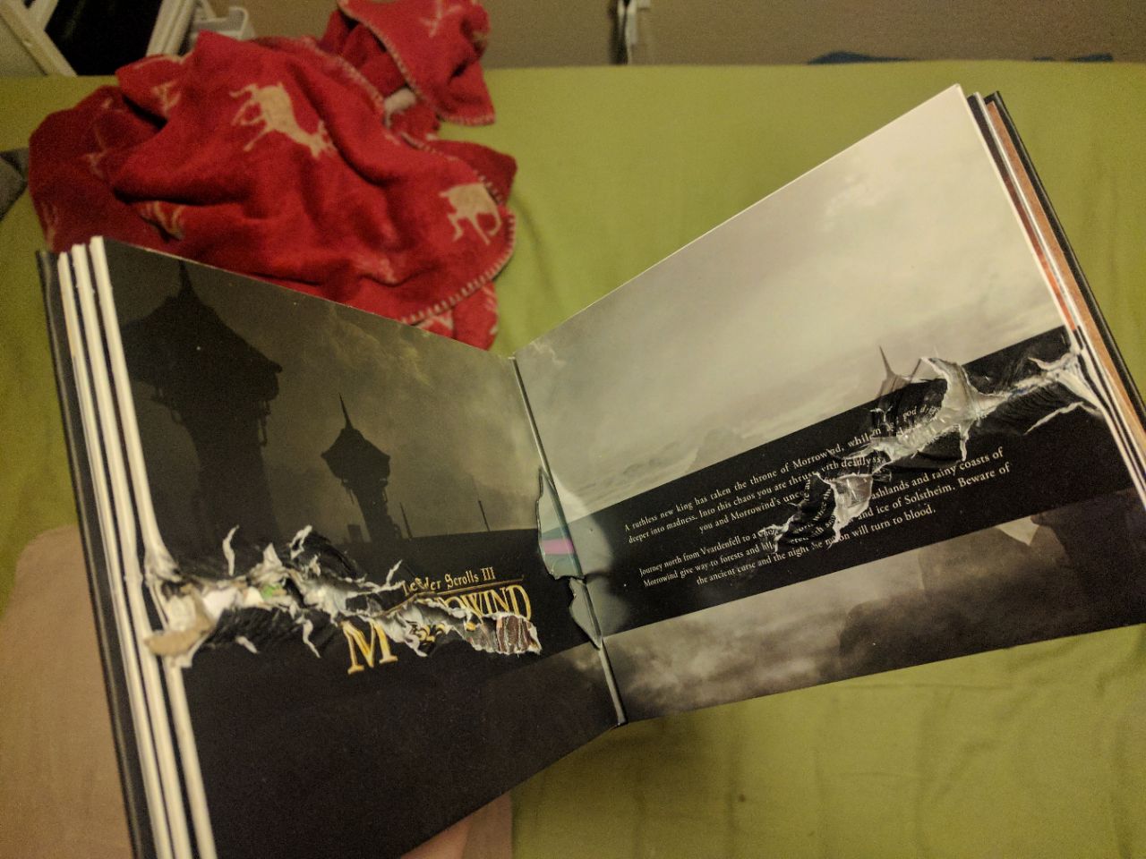 skyrim stray the elder scrolls anthology stops a bullet saving one s vg247 skyrim stray the elder scrolls anthology stops a bullet saving one s vg247