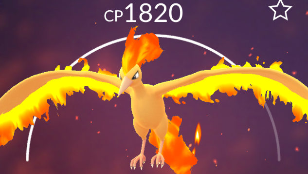 Pokémon PTC Go - Shiny Moltres KANTO - 80K Stardust Read