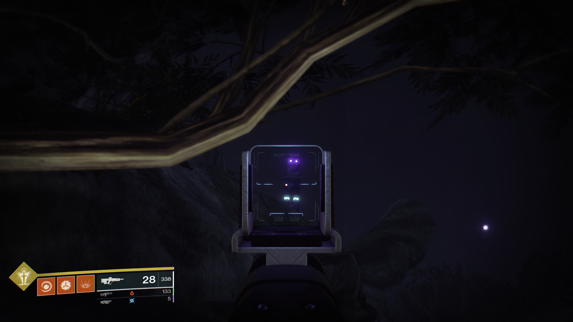 Destiny 2 Forsaken Where to find all 8 cats in the Dreaming City VG247